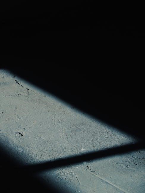 xxcxx 2022 commonwealth scholarship form pdf download