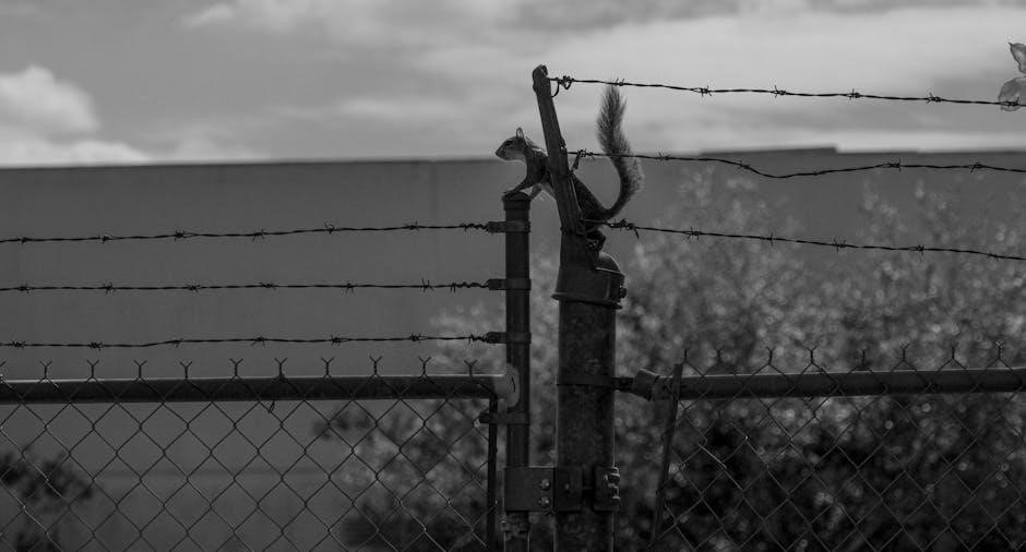 ohio state test scoring guide 2024