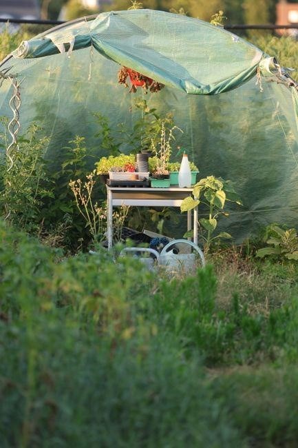 plan potager sur pied pdf